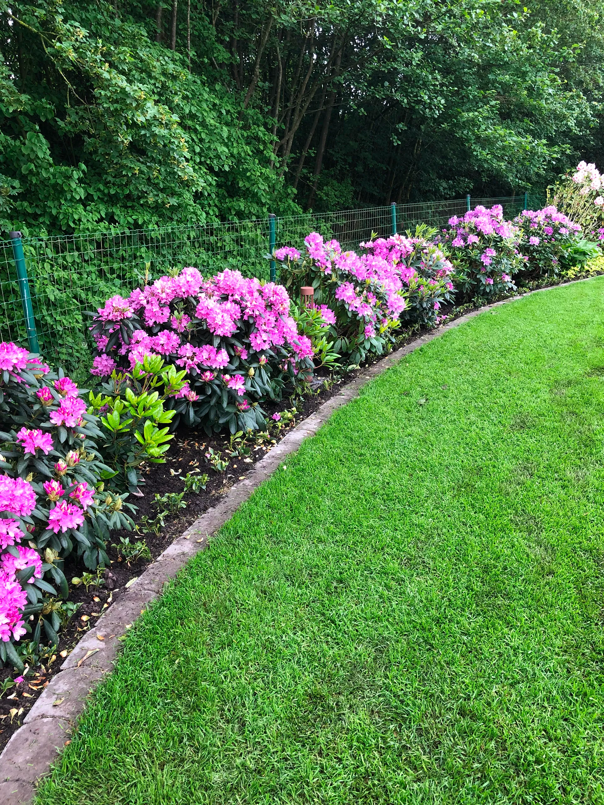 Gartengestaltung